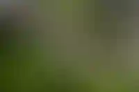 ДОМ.РФ: «В России растет спрос на энергоэффективные частные дома»_4811