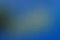 Сеть IKEA попала в список компаний со средним шансом возвращения в РФ_3992