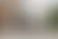 Привлекательность аренды жилья внутри Садового кольца снизилась за 5 лет_4433