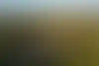 Цены на элитную загородную недвижимость выросли на 40% в первой половине 2024 года_1278