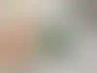 Аренда в городах, где выставлены свыше 500 объектов, подорожала на 3%_4123