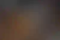 Первая пятилетка КРТ: итоги и перспективы_4874