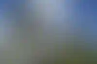 Azimut начал русифицировать вывески на своих отелях_3798