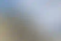 Госдума утвердила Файзуллина министром строительства и ЖКХ_291