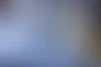 Setl Group подписал соглашение о КРТ в Ленобласти_5227