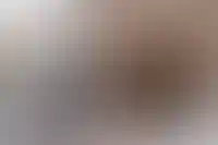 Выдача ипотеки с господдержкой снизилась почти в два раза в январе 2025 года_2373