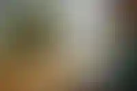 Защитить единственное жилье при продаже от мошенников предлагают эскроу-счетами_4970