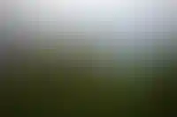 Конституционный Суд РФ встал на сторону сочинских садоводов в споре о земле_2320