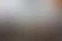 НДФЛ для работающих по патенту мигрантов предложили повысить до 30%_2776