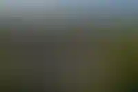 За 5 лет загородные дома в России подорожали в среднем на 70%, сильнее всего &mdash; на Алтае_556