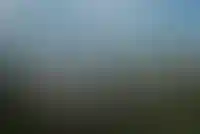 Доходность апарт‑отелей в Узбекистане может оказаться выше, чем в России — мнение_5623