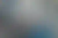 Росреестр предложил запретить создание сайтов-двойников картографических сервисов_5079