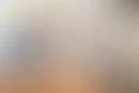 Должникам разрешили самостоятельно продавать залоговое жилье_1138