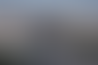 Выручка десяти крупнейших девелоперов Москвы выросла в 2024 году на 24,6%_1028