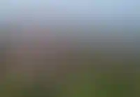 Молодые семьи в Калининградской области получат компенсацию за аренду жилья до 75%_3009