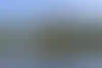 Спрос на новостройки в России в июле вырос на 18% после снижения ключевой ставки_4259