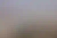 Всего 17% россиян сочли условия для покупки жилья хорошими_2782