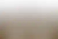 ДОМ.РФ спрогнозировал сохранение ключевой ставки ЦБ на ближайшем заседании_2713