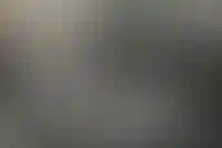 Генеральным директором девелопера «Неометрия» назначена Надежда Барачина_3680