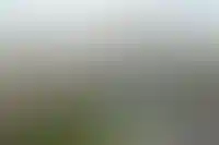 Dominanta запустила 7 проектов на новых территориях_4518