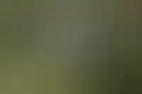 Требования к выкупу земельных участков под объектами строительства ужесточатся_2605