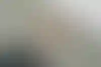 В ЦБ считают, что долю льготной ипотеки надо сократить в 6–8 раз
_67