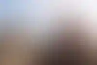 Оренбургская компания «Эволюция» построит жилье в Мариуполе_2875