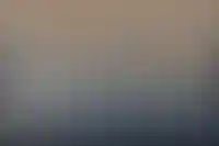 Стоимость услуг нотариуса при дарении жилья семье могут снизить вдвое_3522