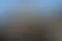 &laquo;Самолет&raquo; решил продавать проекты, реализация которых была отложена_609