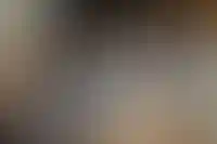 Реестр риелторов: прозрачнее сделки не станут_2003