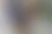 Место проживания трудовых мигрантов будут контролировать по геолокации телефонов_3299