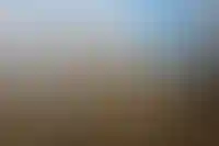 Набиуллина высказалась против идеи сделать ЦБ органом исполнительной власти_3138