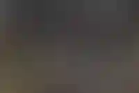 В Госдуме предложили изменить условия «семейки» в зависимости от региона проживания_3977