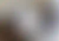 Часть трудовых мигрантов освободят от экзаменов по основам законодательства РФ_3978