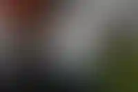 DOGMA вложит 28 млрд рублей в первый ЖК в Ленинградской области_2309