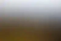 Генпрокуратура выявила нарушения на сумму свыше 3 млрд рублей в Сочинском нацпарке_5215