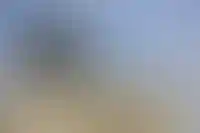 В Госдуме предложили исключить долг по ипотеке из оснований для банкротства_2861