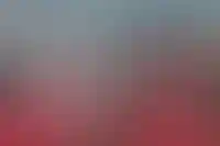 Рост цен на жилье не затронул элитные загородные квартиры под Петербургом_1286