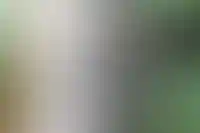 Квартиры массового сегмента в Москве подешевели на фоне роста цен на апартаменты_1137