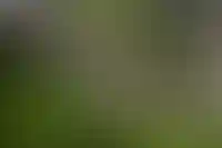 Средняя стоимость загородного дома за год выросла меньше, чем цена «сотки» земли_2863