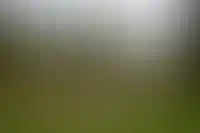 Вид на дворец Долмабахче