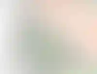 Изображение галереи