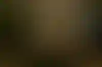 Изображение галереи