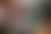 Изображение галереи