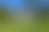 Изображение галереи