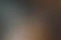 Изображение галереи