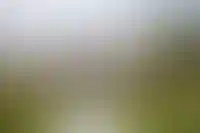 Вид на дворец Долмабахче