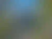 Изображение галереи