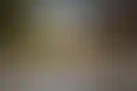 Вид на дворец Долмабахче