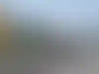 Многоквартирный дом в Нууке, где сдается квартира за 275 тыс. руб. в месяц